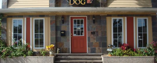 Welcome to Uptown Dog